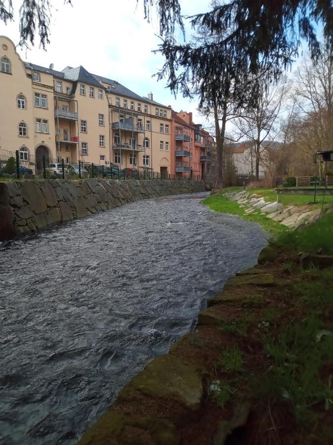 Ferienwohnung Zum Sebnitzer Hirsch Bagian luar foto
