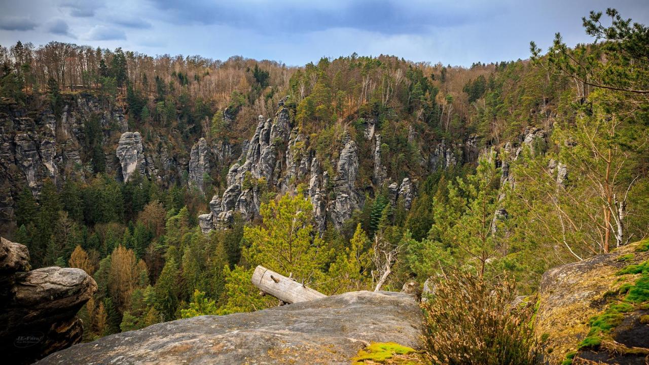 Ferienwohnung Zum Sebnitzer Hirsch Bagian luar foto