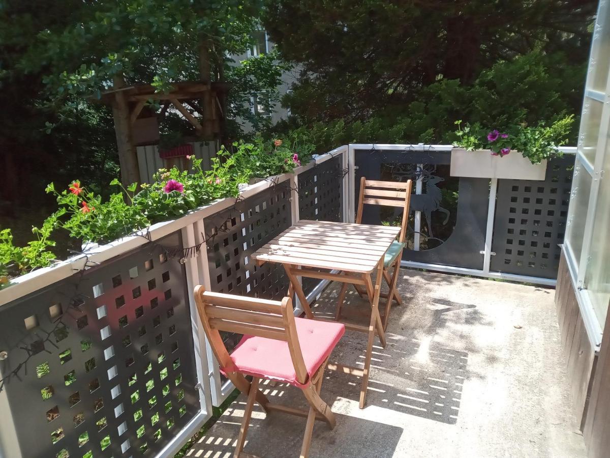 Ferienwohnung Zum Sebnitzer Hirsch Bagian luar foto