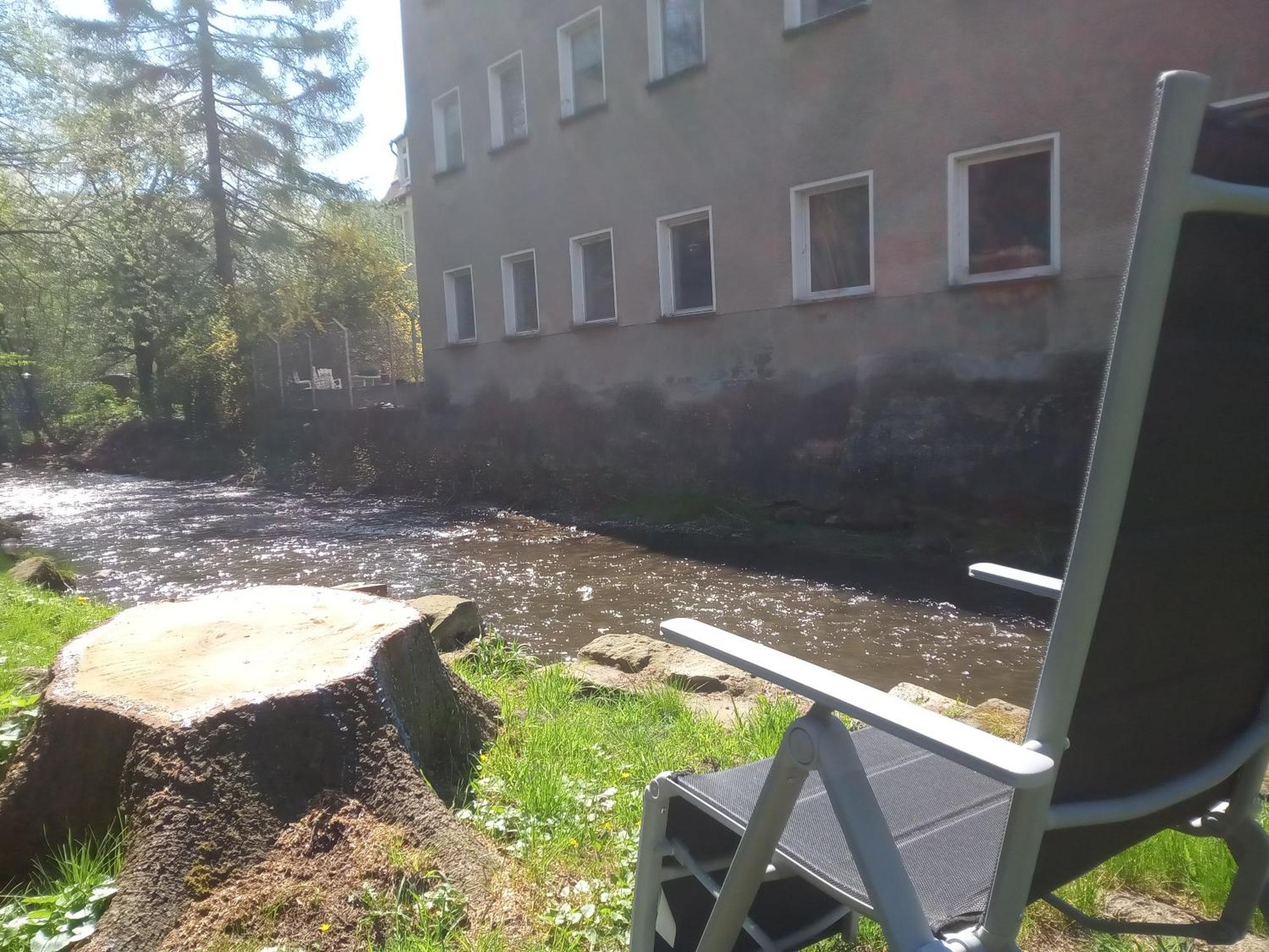Ferienwohnung Zum Sebnitzer Hirsch Bagian luar foto