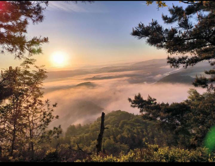 Ferienwohnung Zum Sebnitzer Hirsch Bagian luar foto